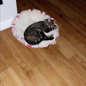 Meet your Posher, Estefani